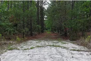 0 Duck Pond Rd, Sylvania, GA 30467 - Photo 1