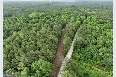 0 Duck Pond Road, Sylvania, GA 30467 - Photo 2
