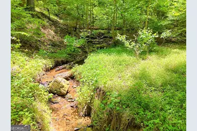 1127 Burch Branch Road, Hiawassee, GA 30546 - Photo 80