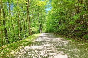 1127 Burch Branch Rd, Hiawassee, GA 30546 - Photo 86