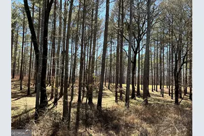 424 Laurel Road, Carrollton, GA 30117 - Photo 2
