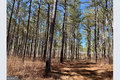 424 Laurel Road, Carrollton, GA 30117 - Photo 12