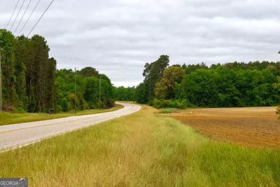 1300 Terry Drive, Stapleton, GA 30823 - Photo 16
