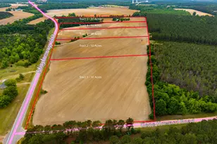 1300 Terry Dr, Stapleton, GA 30823 - Photo 14