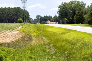 1300 Terry Dr, Stapleton, GA 30823 - Photo 28