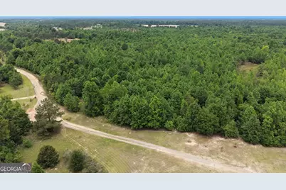 155 Mill Creek Court, Sylvester, GA 31791 - Photo 4