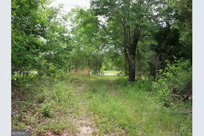 155 Mill Creek Court, Sylvester, GA 31791 - Photo 8