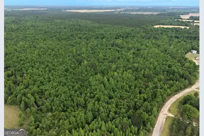 155 Mill Creek Court, Sylvester, GA 31791 - Photo 2