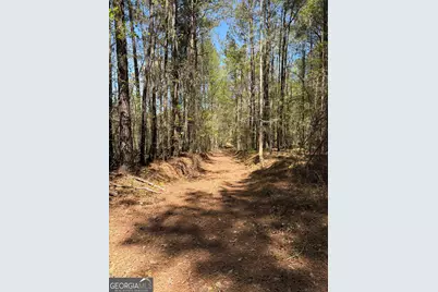 0 Old Union Point Road, Greensboro, GA 30642 - Photo 4