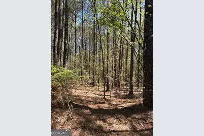 0 Old Union Point Road, Greensboro, GA 30642 - Photo 2