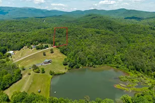 9121 Roy Rd, Ellijay, GA 30536 - Photo 30