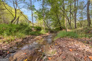 438 B Turner Rd, Cleveland, GA 30528 - Photo 44