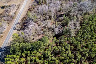 0 Shenandoah Rd, Alma, GA 31510 - Photo 1