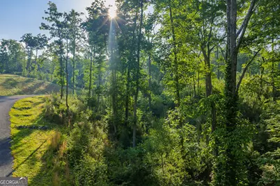 Lot 179 Canoe Point, Ellijay, GA 30540 - Photo 8