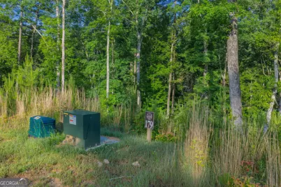 Lot 179 Canoe Point, Ellijay, GA 30540 - Photo 12