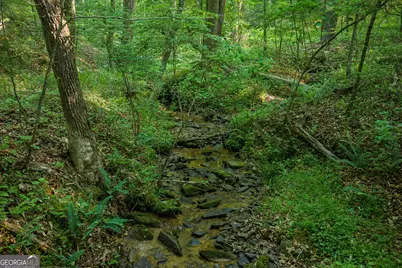 Lot 179 Canoe Point, Ellijay, GA 30540 - Photo 4