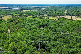 1064 Martin Griffeth Rd, Hull, GA 30646 - Photo 30