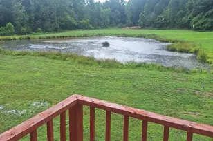177 Bidne Dr, Senoia, GA 30276 - Photo 4