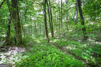Lot 136 St Andrews Way, Ellijay, GA 30536 - Photo 32