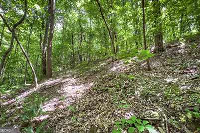 Lot 136 St Andrews Way, Ellijay, GA 30536 - Photo 36