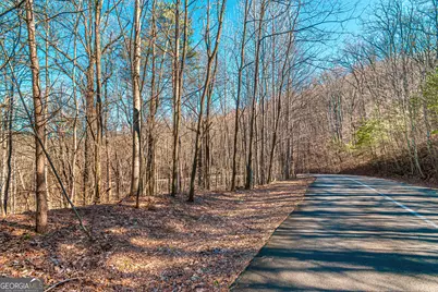 Lot 136 St Andrews Way, Ellijay, GA 30536 - Photo 6