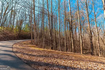 Lot 136 St Andrews Way, Ellijay, GA 30536 - Photo 10