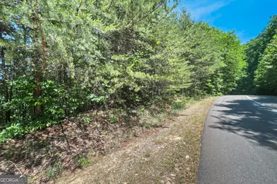 Lot 136 St Andrews Way, Ellijay, GA 30536 - Photo 26