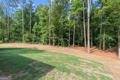 1794 N 100 Highway, Bowdon, GA 30108 - Photo 38