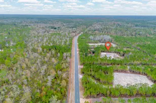1000 Boots Harrison Rd, Hortense, GA 31543 - Photo 4