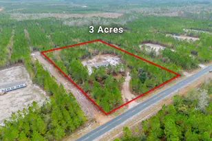 1000 Boots Harrison Rd, Hortense, GA 31543 - Photo 2