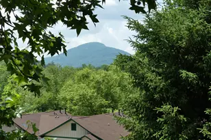 327 Brucken Strasse, Helen, GA 30545 - Photo 52