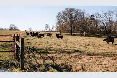 119A Ralph Bridges Road, Lexington, GA 30648 - Photo 2