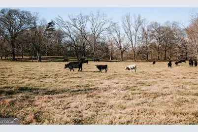 119A Ralph Bridges Road, Lexington, GA 30648 - Photo 4