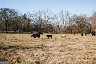 119A Ralph Bridges Rd, Lexington, GA 30648 - Photo 4