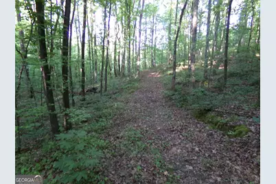 3905 Georgia Highway 138, Covington, GA 30014 - Photo 28