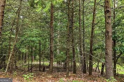 0 Owl Ridge Way, Jasper, GA 30143 - Photo 10