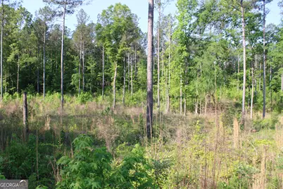 0 Ga Hwy 87 Tract 1, Forsyth, GA 31029 - Photo 6