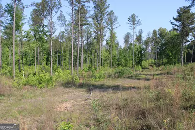 0 Ga Hwy 87 Tract 1, Forsyth, GA 31029 - Photo 10