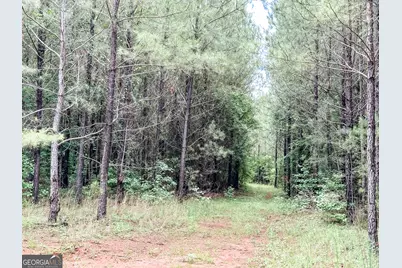 0 Goolsby Road #52.4 ACRES, Monticello, GA 31064 - Photo 18