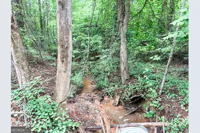 0 Goolsby Road #52.4 ACRES, Monticello, GA 31064 - Photo 12