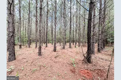 0 Goolsby Road #52.4 ACRES, Monticello, GA 31064 - Photo 24