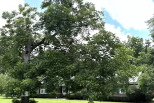 1202 Stonewall St, Dublin, GA 31021 - Photo 24