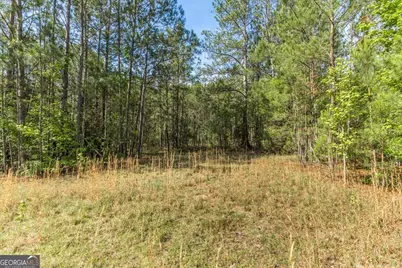 3270 Hamlin Road, Lizella, GA 31052 - Photo 48