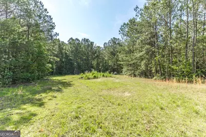 3270 Hamlin Road, Lizella, GA 31052 - Photo 46