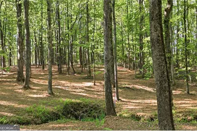 2400 Trinity Church Rd, Canton, GA 30115 - Photo 6