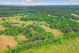 2011 Fieldcrest Ln, Madison, GA 30650 - Photo 48