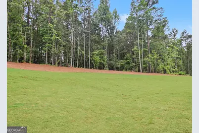 124 Ryeland Drive, Senoia, GA 30276 - Photo 64