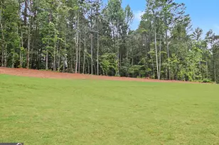 124 Ryeland Dr, Senoia, GA 30276 - Photo 64