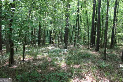 000 Hwy 87 Tract 3, Forsyth, GA 31029 - Photo 10