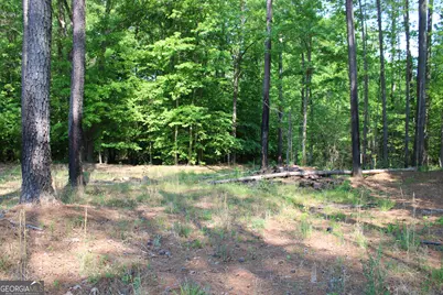0 Hwy 87 Tract 3, Forsyth, GA 31029 - Photo 1